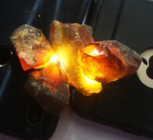83 CT Natural Honey Baltic Amber Untreated Specimen EGL Certified Rough 4 Pc Lot - Picture 1 of 3
