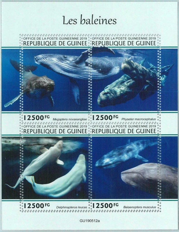 A1971 - ГВИНЕЯ, ОШИБКА: НЕПРАВИЛЬНАЯ ДОСТАВКА, миниатюрный лист: 2019, киты, морская жизнь - Изображение 1 из 1