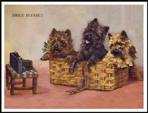 CAIRN TERRIER DOGS IN BASKET & CAMERA VINTAGE STYLE A4 SIZE DOG ART PRINT POSTER - Picture 1 of 1