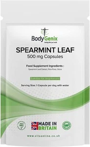 Minze Blatt Kapseln | Hormonhaushalt gesunde Verdauung Nahrungsergänzung 500mg  - Bild 1 von 7