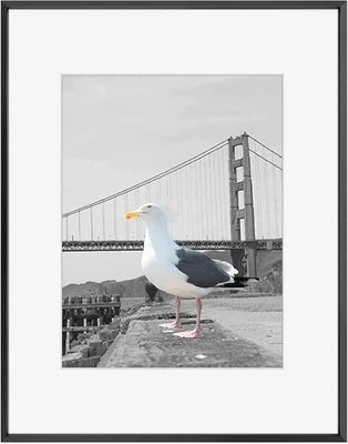 , Marco de fotos de metal 16X20 con tapete para imagen de 11X14 y vidrio real, pH de aluminio Foto 1 de 4