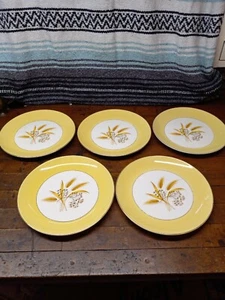 Set of 5 Autumn Gold Dinner Plate Century Service Corp Wheat Yellow Bands 10 in. - Picture 1 of 7