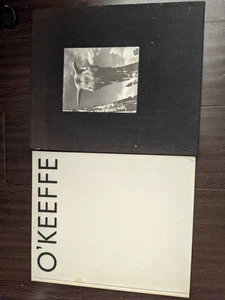 GEORGIA O'KEEFFE: THE ARTIST'S LANDSCAPE - 1ST. ED. PHOTOGRAPHS BY TODD WEBB - Picture 1 of 5