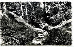 CP 01 - AIN - Divonne les Bains - La Divonne près de la Source - Picture 1 of 1