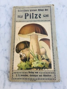 Folleto Pilze Piccolo Atlante De Setas Por Schreiber Alemán Old Atlas Raro - Imagen 1 de 9