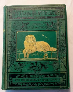 Pets and Playfellows 1885 ~ Mrs. Surr ~ Harrison Weir ~ viktorianische vergoldete Katzen Hunde - Bild 1 von 14