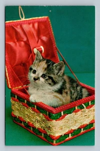 Vintage Real Photo Postcard Kitten in Picnic Basket Made in USA - Picture 1 of 2