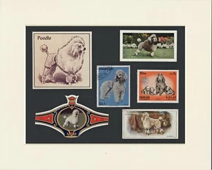 POODLE ORIGINAL OLD DOG COLLECTABLE CARDS STAMPS AND BANDS READY MOUNTED - Picture 1 of 1