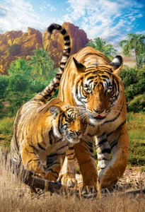 Rompecabezas de 250 piezas Eurographics Tigers - Imagen 1 de 2