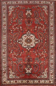 Vintage Floral Traditional Handmade Wool Bakhtiari Living Room Area Rug 6x10 - Picture 1 of 21