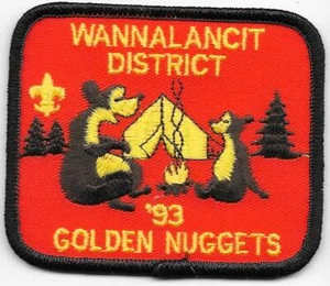 1993 Golden N. Wannalancit District Daniel Webster Council Boy Scouts of America - Picture 1 of 1