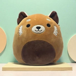 Squishmallows RARE Seth Red Panda Squishmallow 8" Kellytoy Animal Plush Toy - Picture 1 of 6
