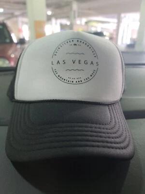 Quiksilver Las Vegas Boardriding Clásico Retro Snapback Negro Sombrero Surf Malla Gorra Foto 1 de 4