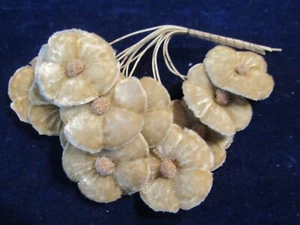 Vintage Millinery Flower Beige Brown all Velvet 1 1/2" Bloom 12pc Bunch SA - Picture 1 of 5