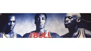 RARE SEALED NOS 1996 Chicago Bulls Michael Jordan ‘No Bull’ Nike Poster - Picture 1 of 7