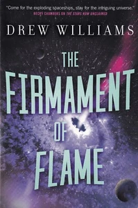 Firmament of Flame by Drew Williams (2020, Paperback) - Picture 1 of 2