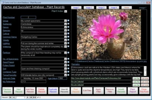 Cactus + Succulent Database Software CDROM Windows 7/8/10/11 XP Vista - Picture 1 of 6