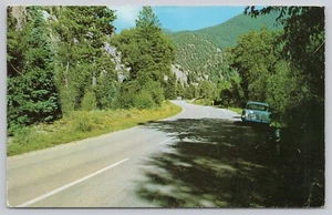 Red River Canyon State Highway 38 Northern New Mexico Chrome Postcard - Picture 1 of 2