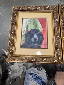 Black Poodle 18/250 Framed Brenda Harris Tustian - Picture 1 of 16