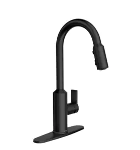Moen Meena Single Handle Pulldown Sprayer Kitchen Faucet Power Clean Matte Black - Picture 1 of 3