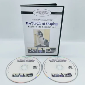 The Magic Of Shaping Explore The Possibilities (DVD) Pamela Dennison 2-Disc Set - Picture 1 of 5