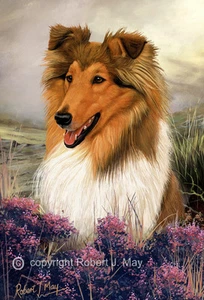 Signed Rough Collie Print by Robert J. May - Picture 1 of 1