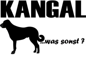 AUFKLEBER KANGAL sticker Autoaufkleber Schriftaufkleber „Kangal…was sonst?" - Bild 1 von 3