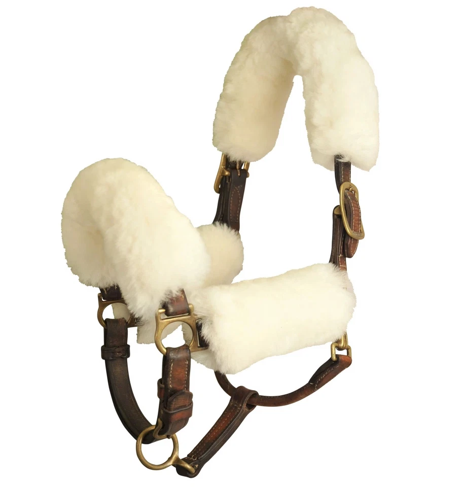  Merino Sheepskin Halter caver set of 4  - Image 1 of 2