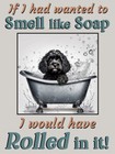 Cockapoo Pet Puppy Dog Funny Flexible Fridge Magnet Christmas Gift