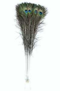 Cola de pavo real plumas naturales 50""- 55"" artesanal/arte/novia/disfraz/Halloween - Imagen 1 de 3