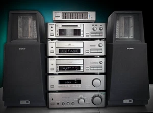 SONY TAE-S1 (LA-SCALA) ๐RaRe๐ Complete Electro-Static Speakers Stereo System - Picture 1 of 5