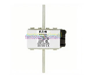 1 Stück Neu Eaton Busmann 170M6765 100A,690V Hochgeschwindigkeits-Vierkant-Sicherung - Bild 1 von 1