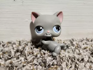 Littlest Pet Shop LPS #74 graue Katze Katze blaue Augen Pfote authentisch 2004 - Bild 1 von 2