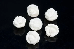 5 piezas cuentas naturales AAA 12/14 MM con cáscara de almeja gigante blanca Tridacna - Imagen 1 de 5