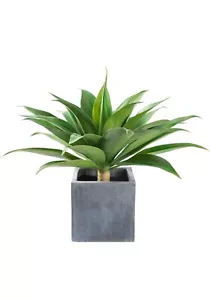 Velener Künstliche Agave Sukkulente Pflanze 28 cm Große Größe - Bild 1 von 10