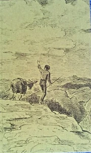 césped 1 X LIBRO ANTIGUO FOLIO SOCIEDAD VIAJES ILUSTRADOS CON UN BURRO 135 PÁGINAS - Imagen 1 de 3