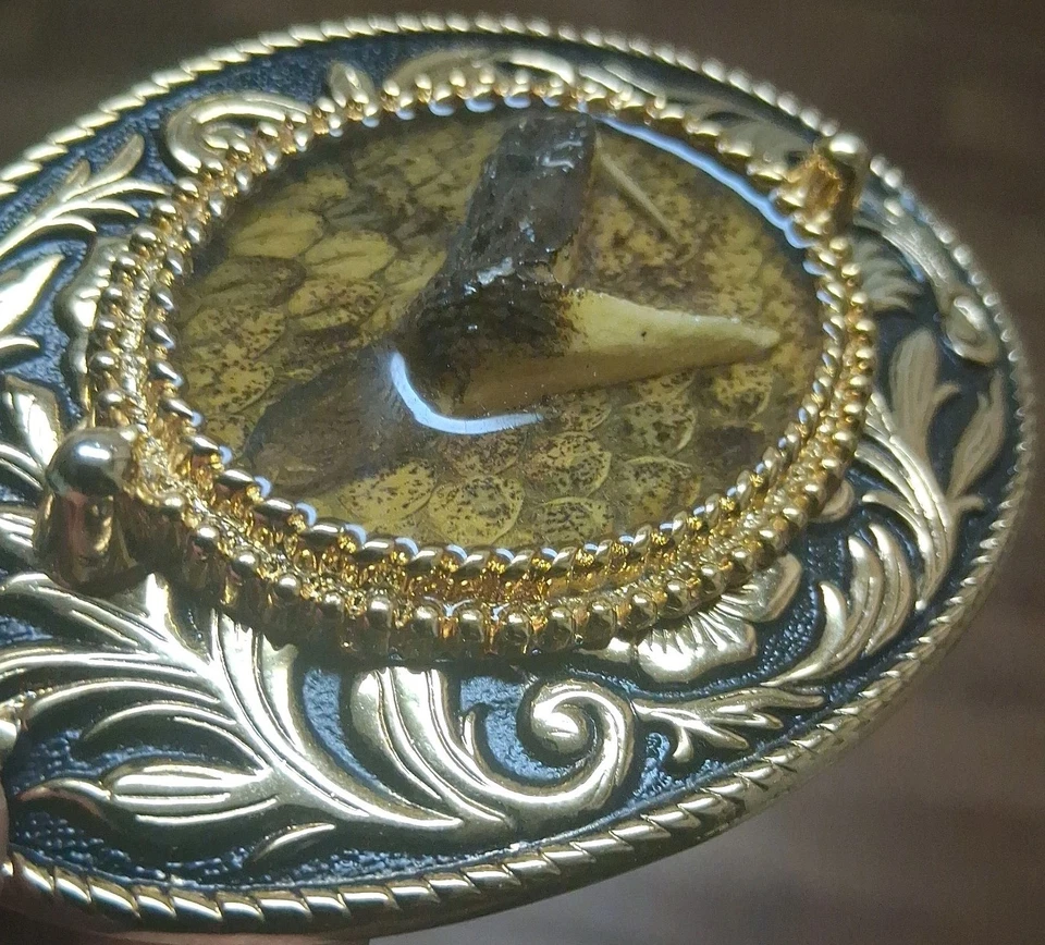 Snake Head Belt Buckle!  (Rare Taxidermy) - Image 1 of 4