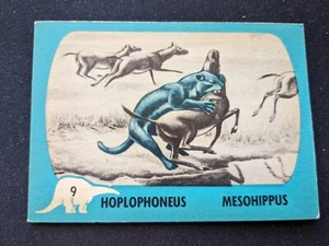 1961 Nu-Cards Dinosaur Series Card # 9 Hoplophoneus / Mesohippus (VG/EX) - Picture 1 of 3