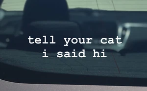 Tell your Cat I said hi vinyl sticker Car decal window - Bild 1 von 3