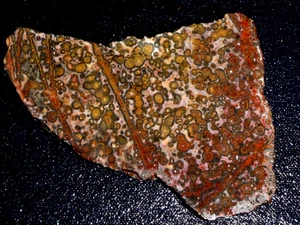 Leopard Skin  Jasper slab- 5 1/4" x 3 1/2" rough  for cabbing-display - Picture 1 of 3