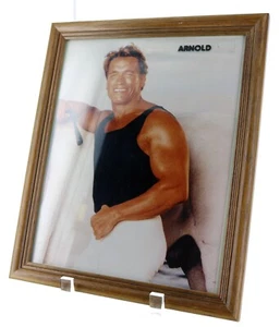 Framed Picture of Arnold Schwarzenegger. 8X10  Nice collectible photo. - Picture 1 of 1