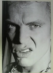 BILLY IDOL ~ Sneering per la fotocamera CHIUDI ~ PINUP pagina rivista - Foto 1 di 1