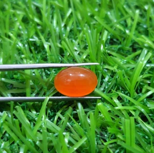Fabulous Orange Carnelian Oval Cabochon 3.80 Crt Loose Gemstone For Jewelry - Picture 1 of 5