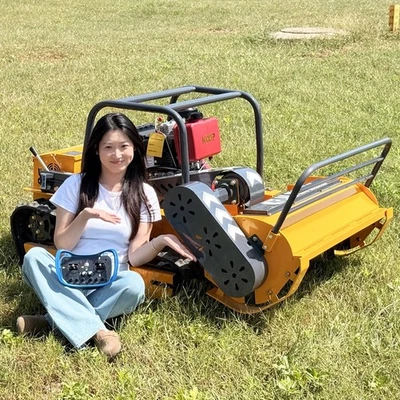 Free Shipping Remote Control Lawn Mowers Intelligent Robots Mulchers Local Ware - image 1 of 4