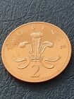 1988 Proof 2P Feathers Two Pence Coin Brilliant Uncirculated