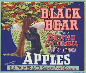 RARO BRAZO ANTIGUO ORIGINAL 1930 MERODEADOR ETIQUETA ""OSO NEGRO"" SALMÓN COLUMBIA BRITÁNICA - Imagen 1 de 1