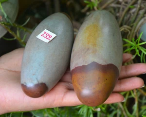 4"4.25"Elongated Egg Original Narmadeshwar River Shivling for Home for Puja~732 - Picture 1 of 7
