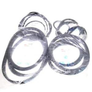 Isuzu Faster KB20 KB40 Chevrolet LUV Front Rear Windshield Door Weatherstrip Set - Picture 1 of 6