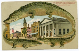 Oficina de correos Alligator Border s604 Jacksonville Florida Duval Hotel Castle Hall - Imagen 1 de 2