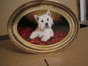 PLATO DE PORCELANA FRANKLIN COMO NUEVO WEST HIGHLAND TERRIER BLANCO MAESTRO DEL TARTÁN - Imagen 1 de 12